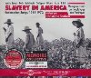 Slavery in America : Redemption songs 1914-1972 : Musiques issues de l'esclavage aux Amériques - Work songs, folk, spirituals, blues, jazz, R&B | Brown, Oscar Jr.. Interprète