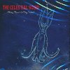 The Celestial squid | Henry Kaiser (1952-....). Guitare