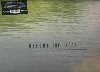 Before the flood : BO du film de Fisher Stevens | Trent Reznor (1965-....)