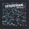 Leviathan | Flavien Berger. Musicien. Synthétiseur. Narrateur. Récitant
