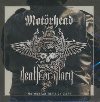 Death or glory | Motörhead. Musicien
