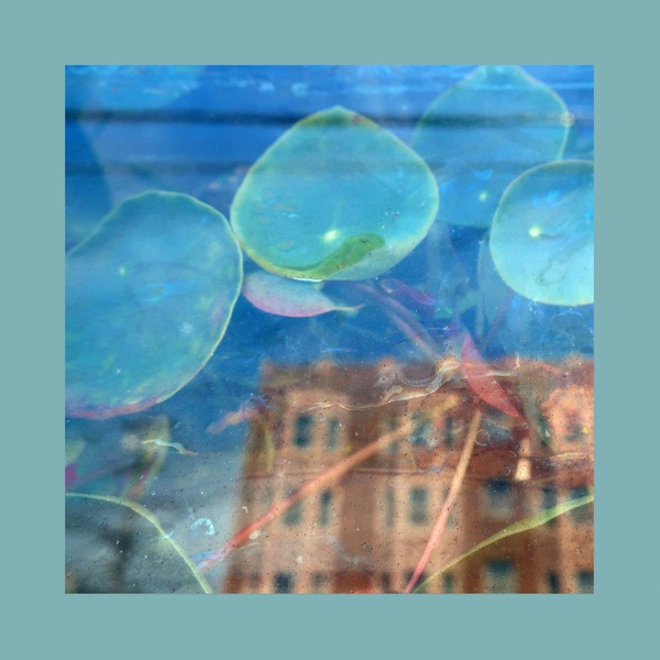 Affiche du document Acknowledge Kindness