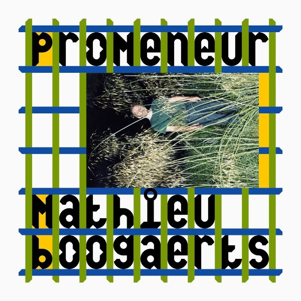 Affiche du document Promeneur
