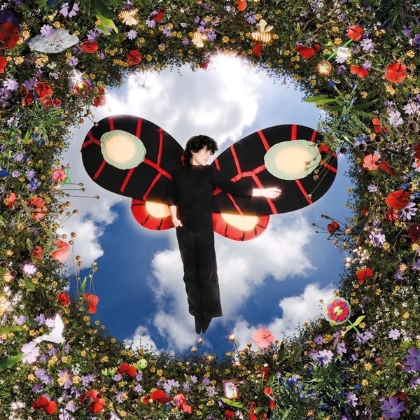 Affiche du document Ailes (Les)