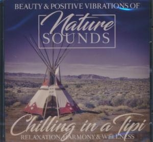 Affiche du document Chilling in a tipi : relaxation harmony & wellness