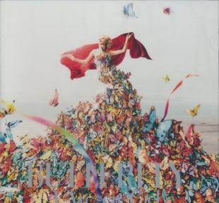 Affiche du document Butterfly