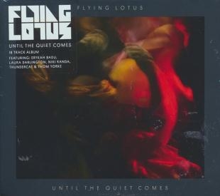Affiche du document Until the quiet comes