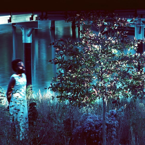 Affiche du document Vesper Sparrow