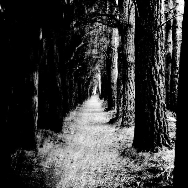 Affiche du document Falter