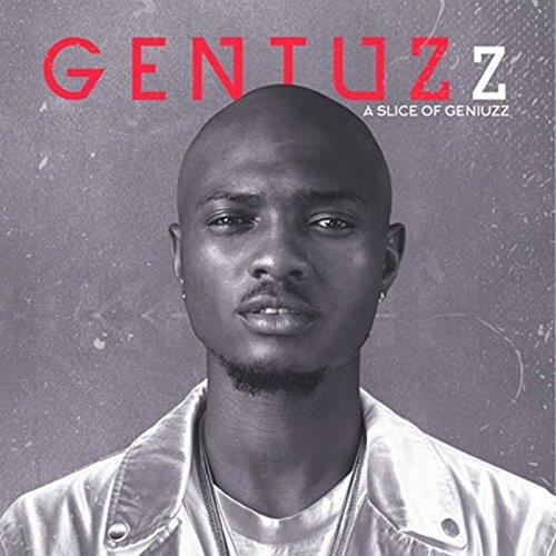 Affiche du document A slice of Geniuzz