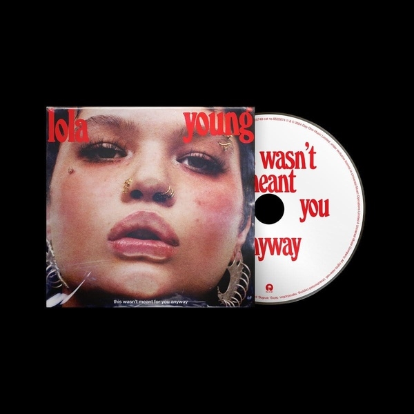 Affiche du document This wasn't meant for you anyway