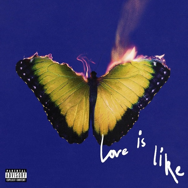 Affiche du document Love Is Like
