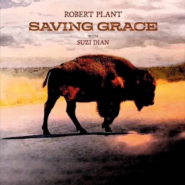 Affiche du document Saving Grace