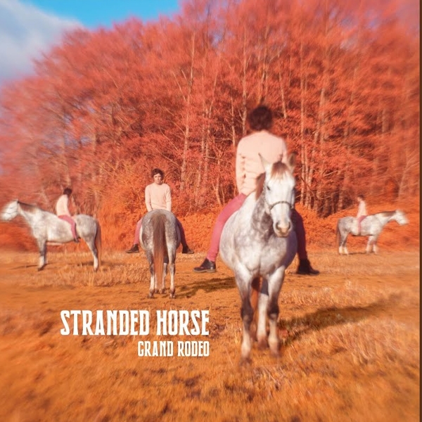 Affiche du document Grand rodeo