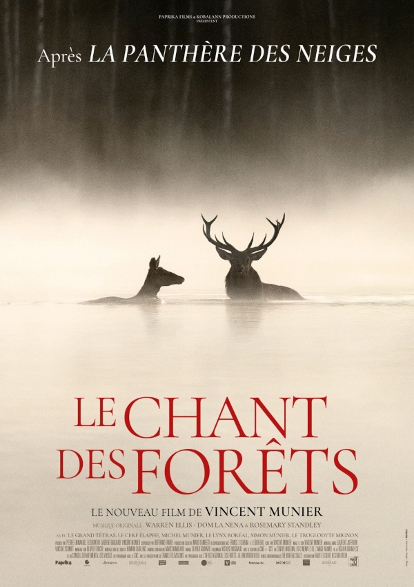 Affiche du document Chant des forêts (Le)