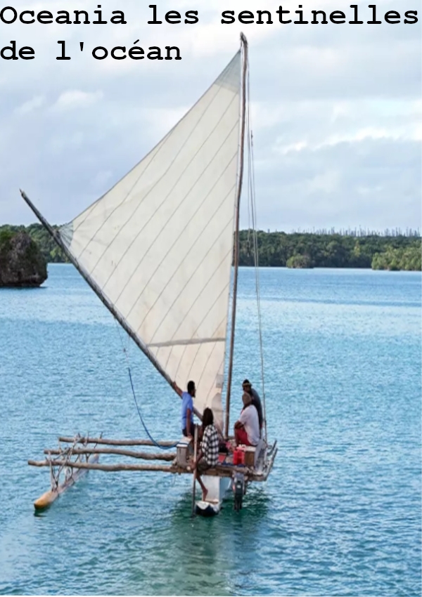 Affiche du document Oceania les sentinelles de l'océan
