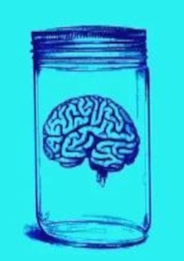 Affiche du document Notre cerveau nous joue des tours : épisode 2