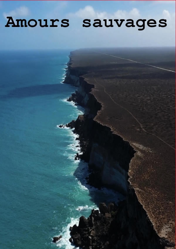 Affiche du document Amours sauvages