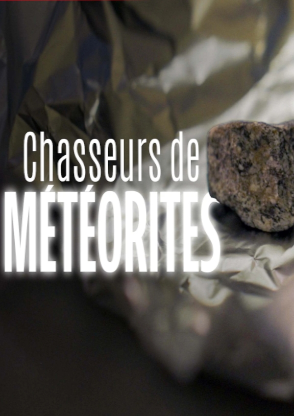 Affiche du document Chasseurs de météorites