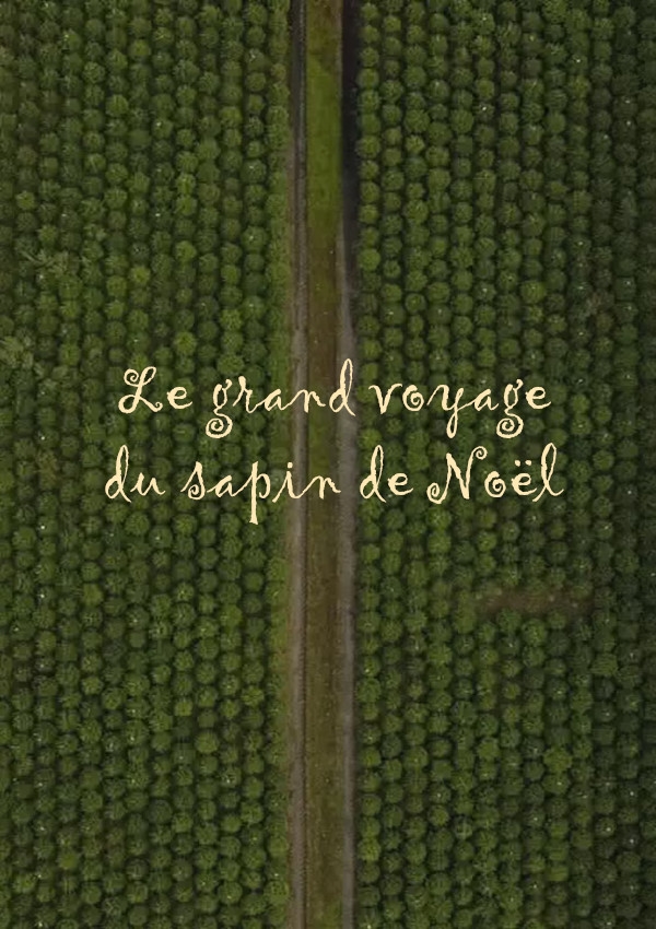 Affiche du document Grand voyage du sapin de Noël (Le)