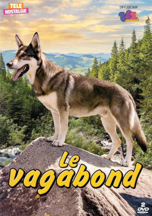 Affiche du document Vagabond (Le)