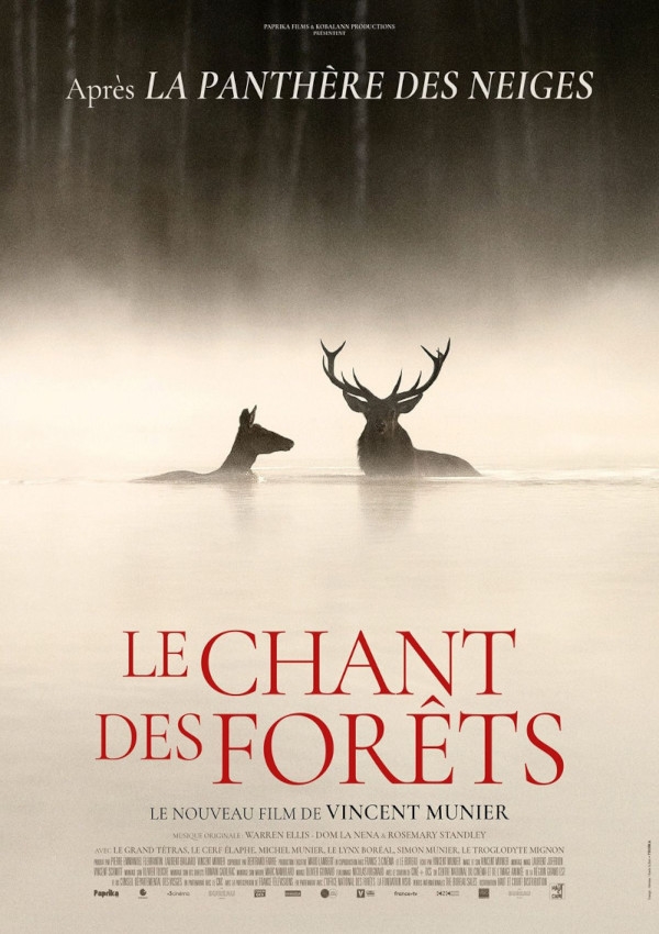 Affiche du document Chant des forêts (Le)