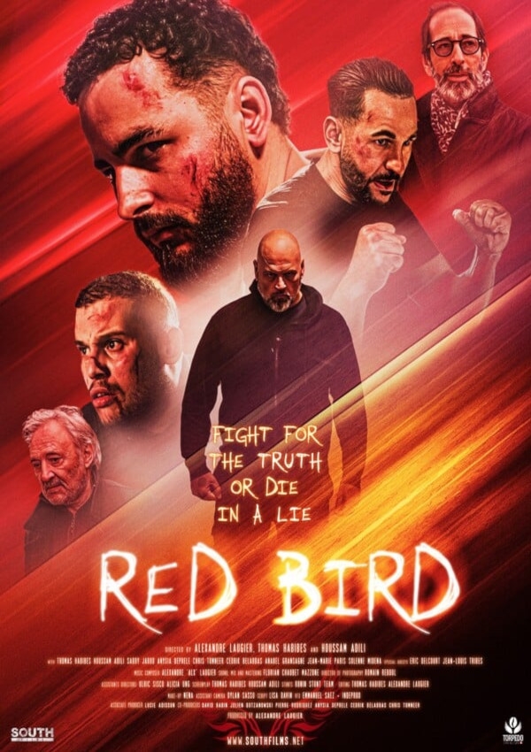 Affiche du document Red bird