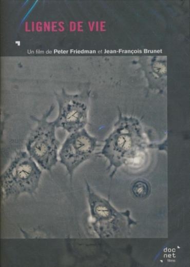 Affiche du document Lignes de vie