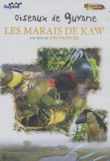 Affiche du document Oiseaux de Guyane, les marais de Kaw