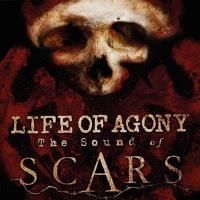 Sound of scars (The)