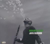 Jaffa blossom