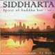 Siddharta : spirit of buddha bar : vol.2