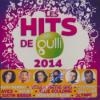 Hits de Gulli 2014 (Les)