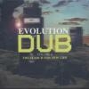 Evolution of dub : vol.8 : the search for new life