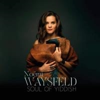 Soul of yiddish | Waysfeld, Noémi (1984-....)