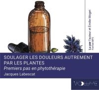 Soulager les douleurs autrement par les plantes : premier pas en phytothérapie