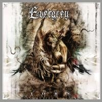Torn | Evergrey. Musicien