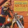 Country soul sisters : women in country music 1952-78