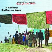 Bushinengé - neg mawon de Guyane (Les)