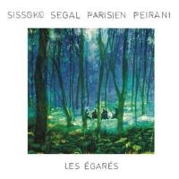 Les égarés | Sissoko, Ballake (1967-....). Musicien