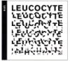 Leucocyte