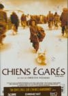 Chiens égarés