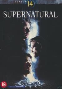 Supernatural : saison 14