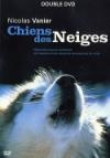 Chiens des neiges