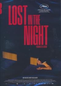 Lost in the night