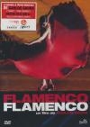 Flamenco, Flamenco