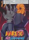 Naruto Shippuden : volume 17