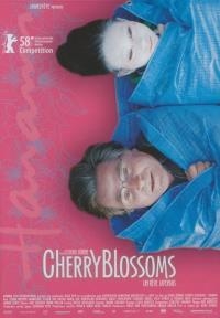 Cherry blossoms : un rêve japonais