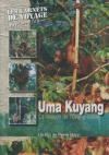 Uma Kuyang : la maison de l'orang-outan