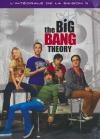 Big Bang theory (The) : saison 3